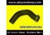 Radiator Hose:9065283382