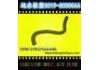 Radiator Hose:195025AAA00