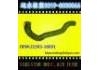 Radiator Hose:21503-16E01