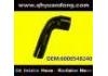 Radiator Hose:6000548240