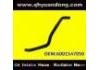 Radiator Hose:6001547050