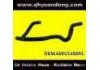Radiator Hose:6001548891
