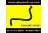 Radiator Hose:6001548892
