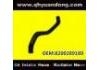 Radiator Hose:8200289189