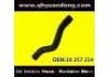 Radiator Hose:19 257 214