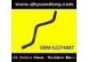 Radiator Hose:52274887