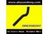 Radiator Hose:95602947