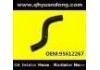 Radiator Hose:95612267