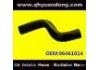 Radiator Hose:96461014