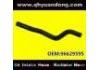 Radiator Hose:96629595