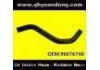 Radiator Hose:96676740