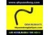 Radiator Hose:96304475