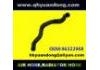 Radiator Hose:96322908