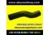 Radiator Hose:BQ130301230AO