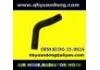 Radiator Hose:8COG-15-002A