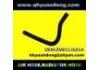 Radiator Hose:ZM0113691A