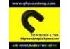 Radiator Hose:B1069-61500