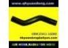 Radiator Hose:25411-1G000