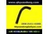 Radiator Hose:25411-02000