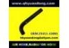 Radiator Hose:25411-43001