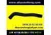 Radiator Hose:2541105500