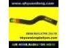 Radiator Hose:96314799