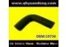Radiator Hose:19736