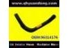 Radiator Hose:96314176