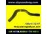 Radiator Hose:LT22307
