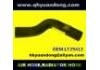 Radiator Hose:LT29413