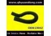 Radiator Hose:19042