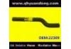 Radiator Hose:22309