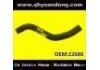 Radiator Hose:22686