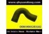 Radiator Hose:9065283182