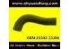 Manguera de radiador Radiator Hose:21502-22J00