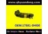 Intake Pipe:17881-0Hl00