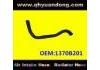 Radiator Hose:1370B201